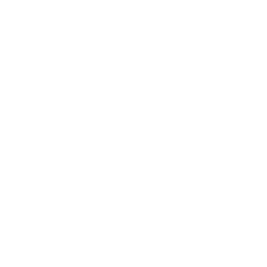 shopping-bag