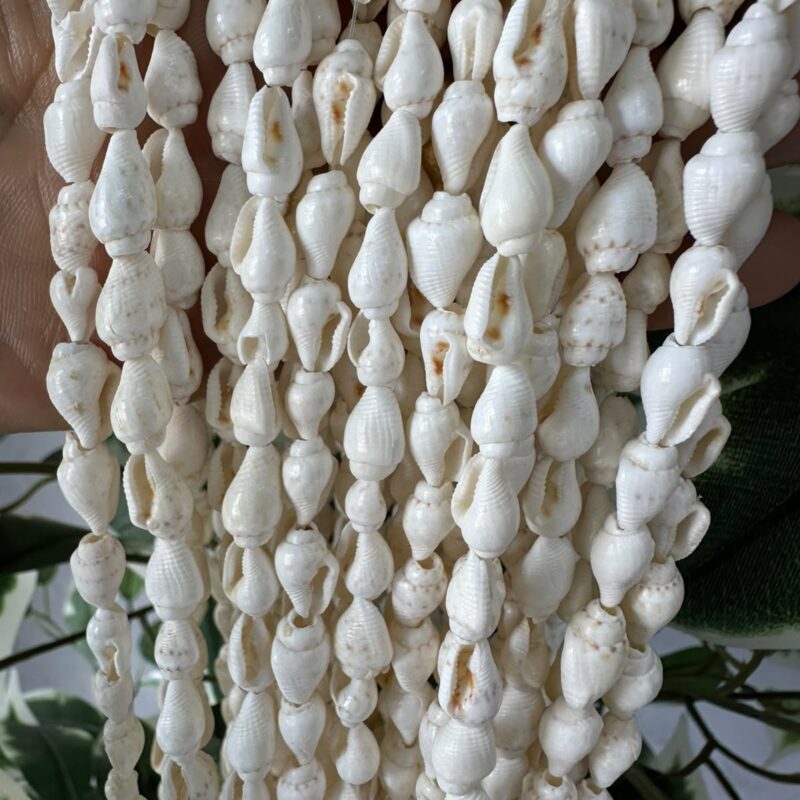 Fio de Mini Búzios Naturais Brancos – Conchas do Mar